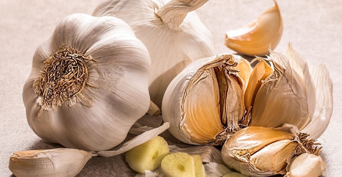 garlic ingredient flavoring seasoning garlic cloves cooking culinary garlic garlic garlic garlic garlic