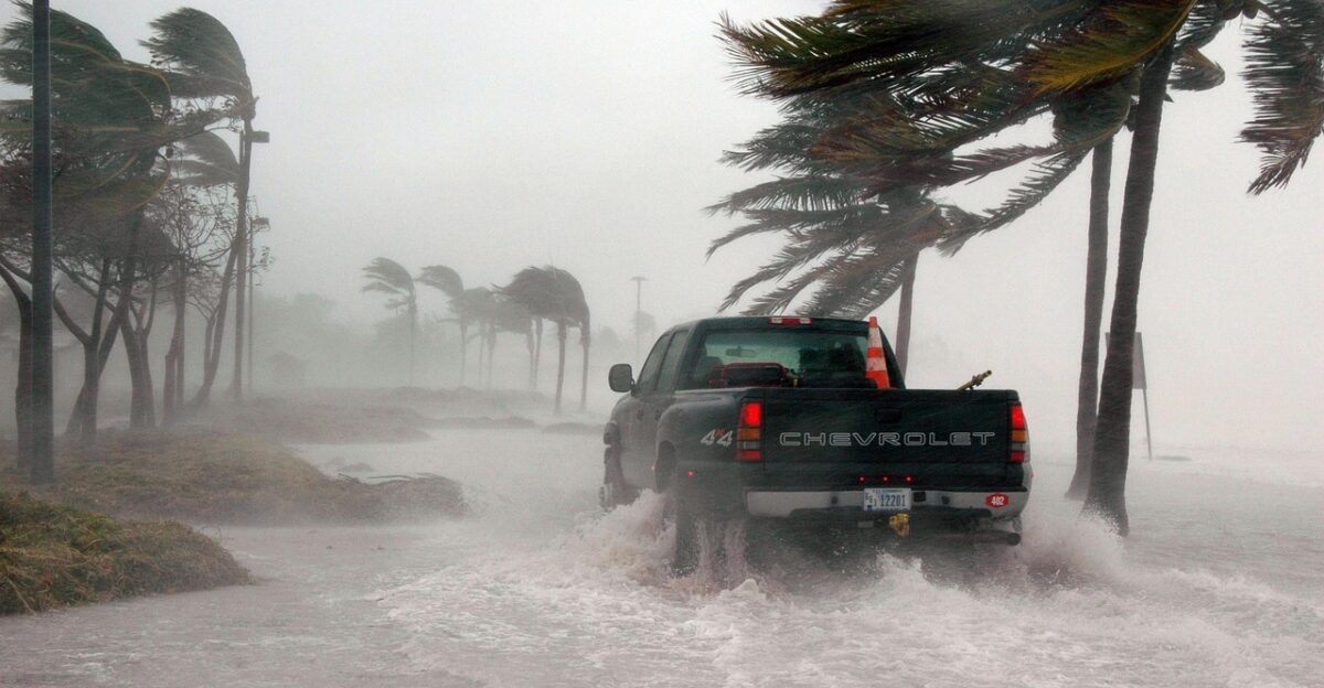 key west florida hurricane hurricane dennis weather storm surge stormy wind dangerous truck water sea ocean palm trees nature outside flooded earth day