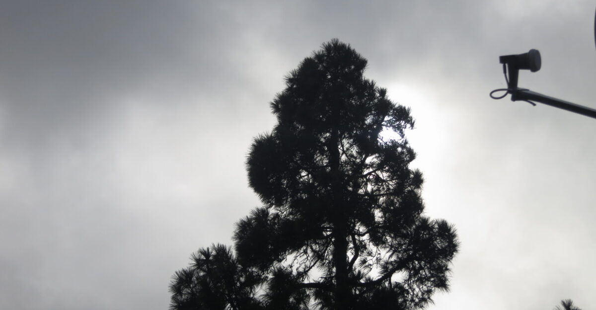 LA rain storm 12-14-21