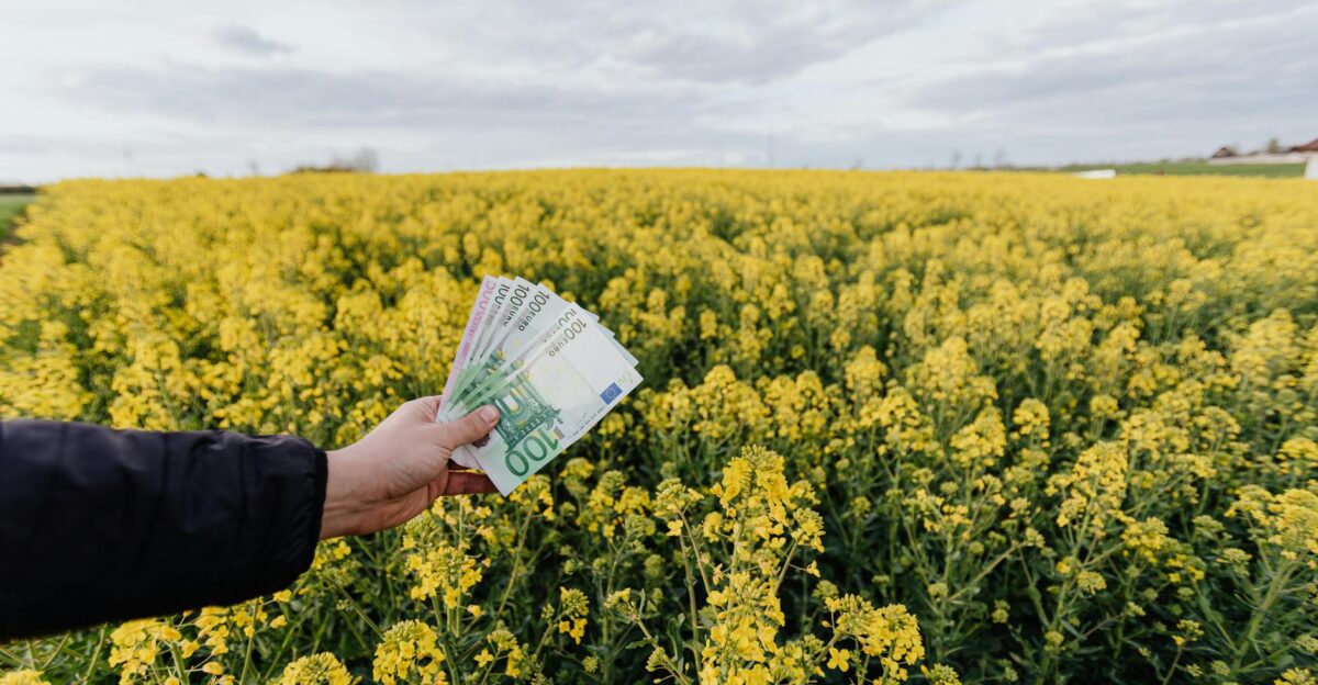 Hand holding Euro notes above a vibrant rapeseed field representing agricultural investment