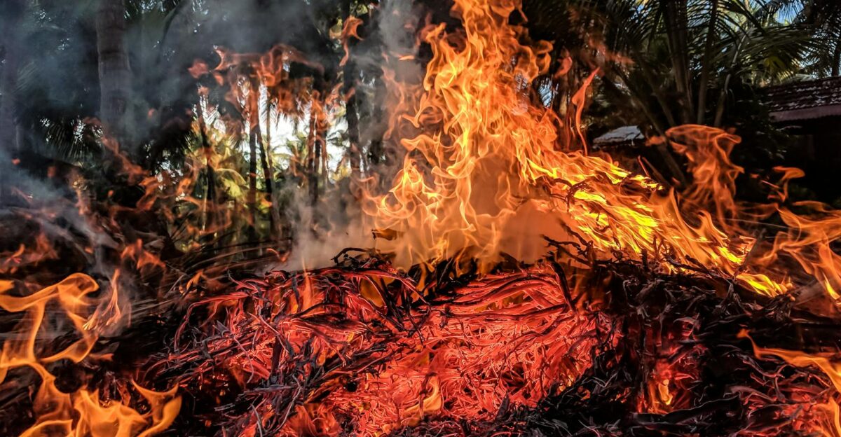 A captivating image of vibrant flames from an outdoor bonfire against a forest background