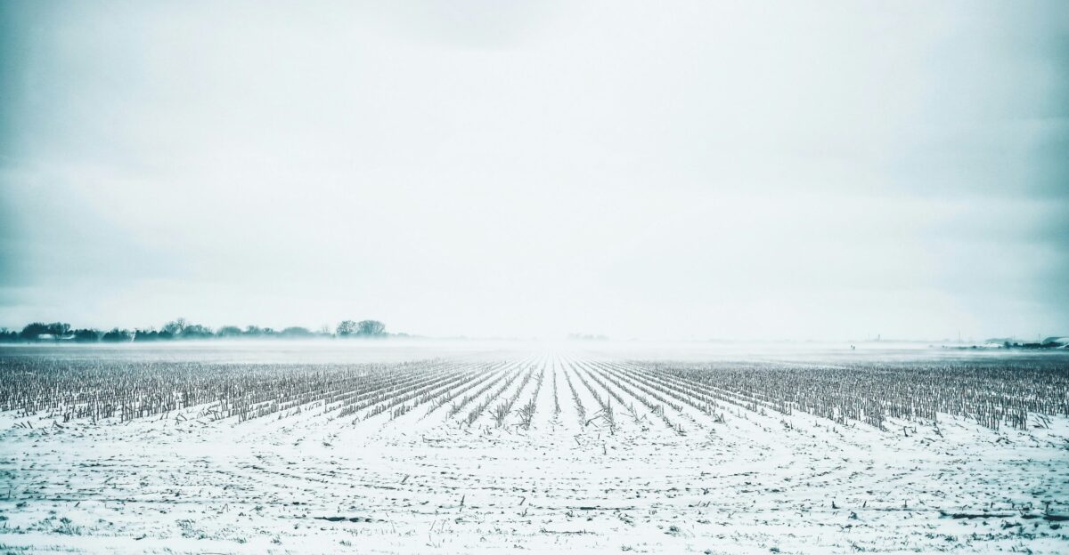 white field during daytime