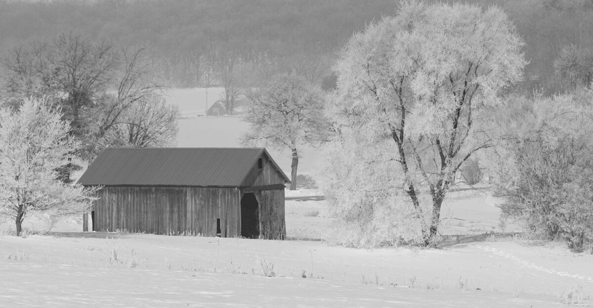 A black and white photo of a barn in the snow