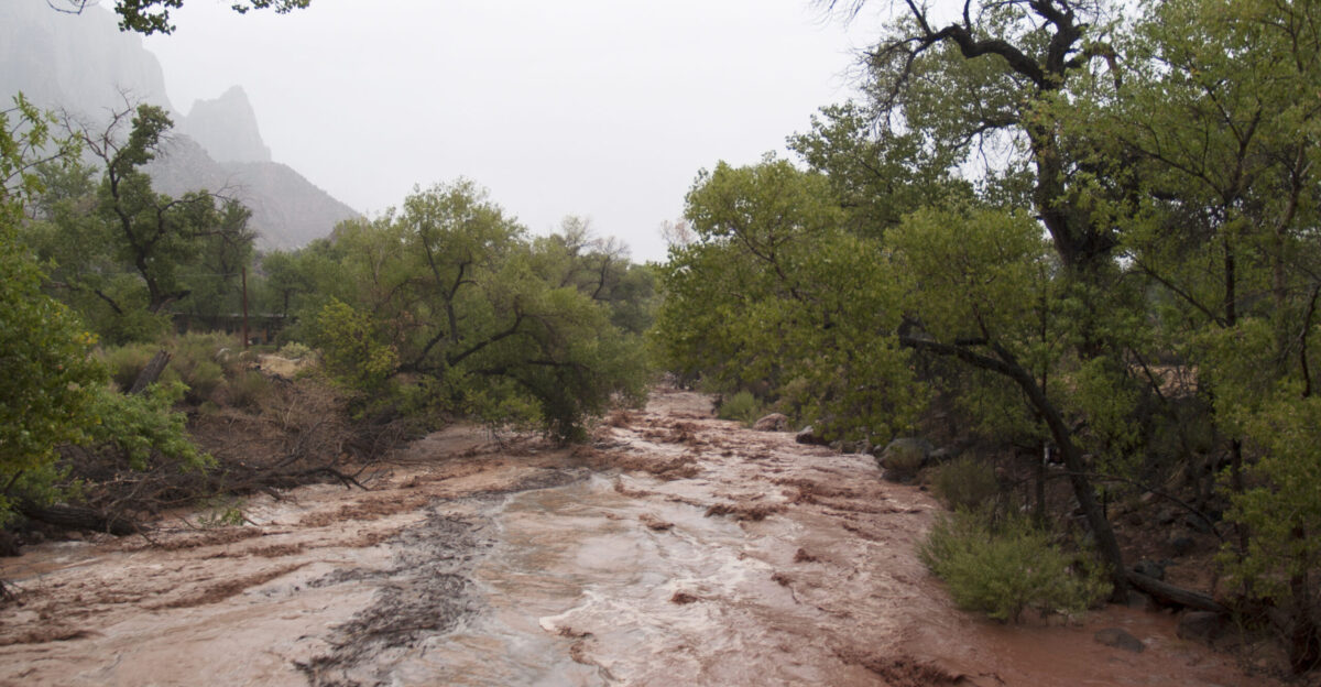The Virgin River rose to 3 620 CFS on Sunday August 25 the 16th largest flash flood on record