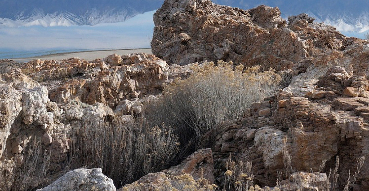 great salt lake antelope island utah usa great salt lake great salt lake great salt lake antelope island antelope island antelope island antelope island antelope island utah