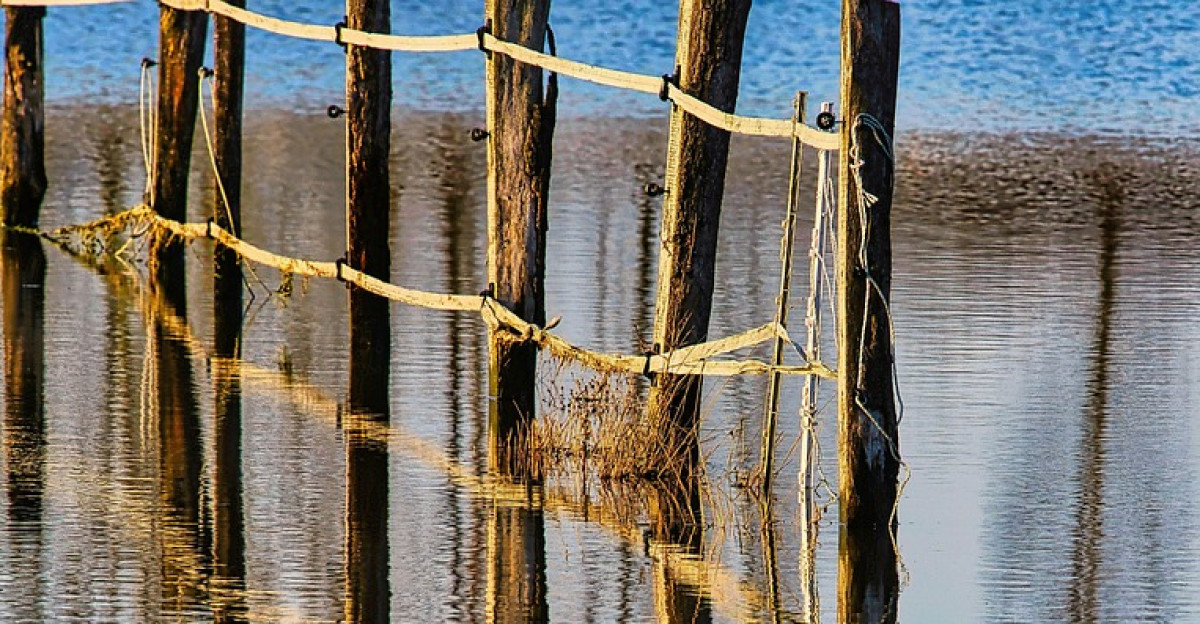 fence flooding water flood climate change flood disaster flooded meadow nature coupling landscape rural countryside
