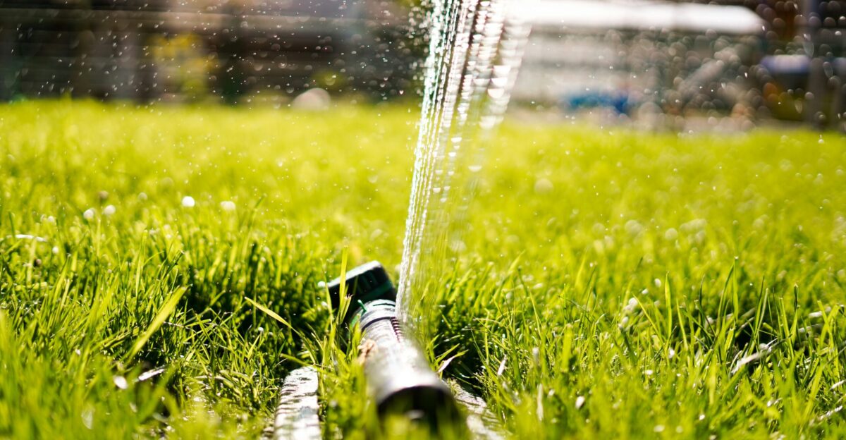 green glass bottle on green grass during daytime