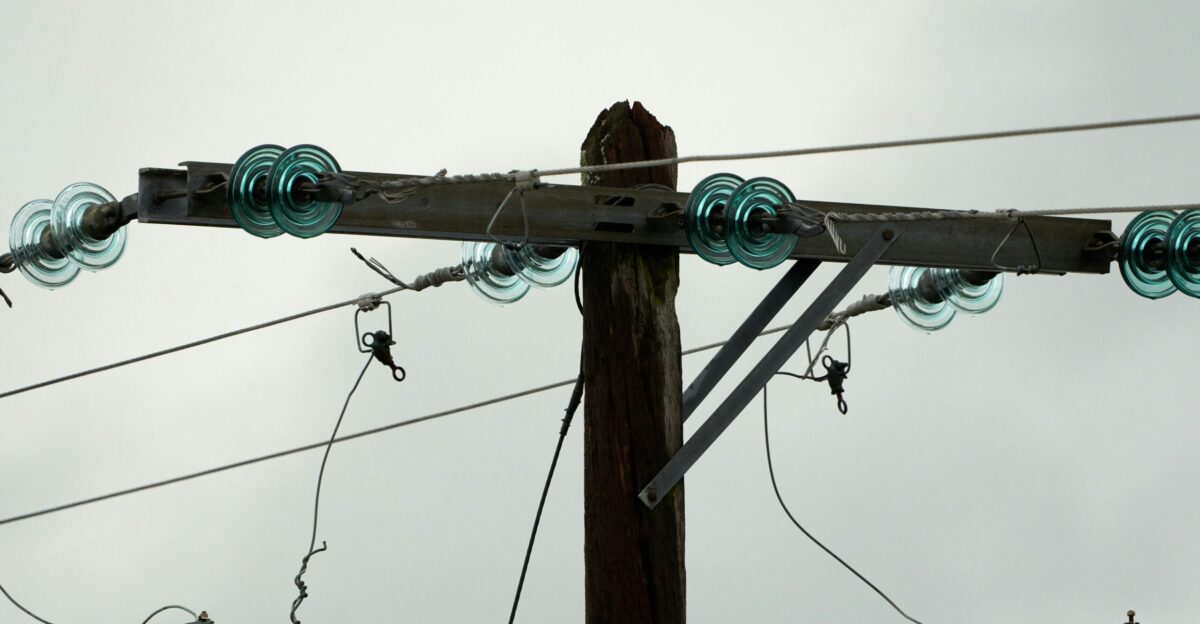 brown wooden post with green rope