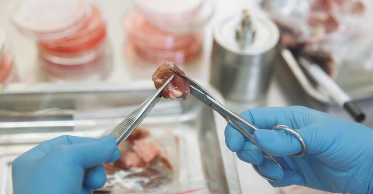 Scientist in laboratory dissecting meat sample for experimentation and study